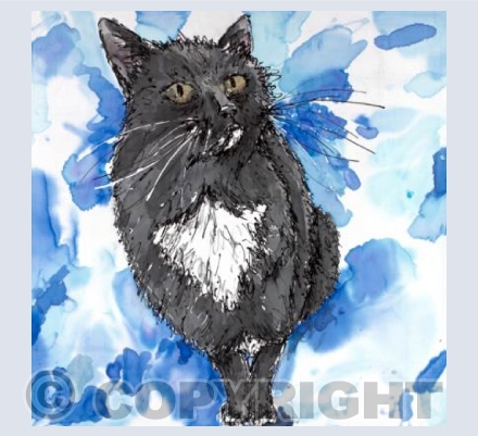 Lucky Black Cat