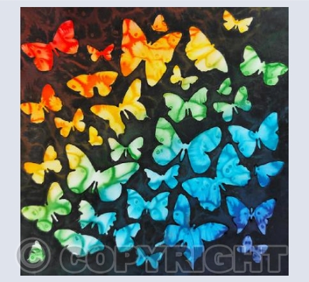 A Kaleidoscope of Butterflies