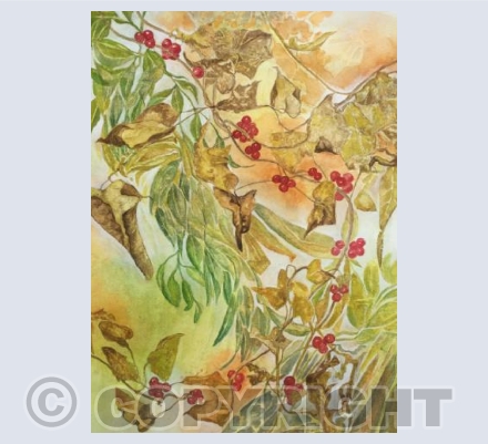 Autumn Bryony