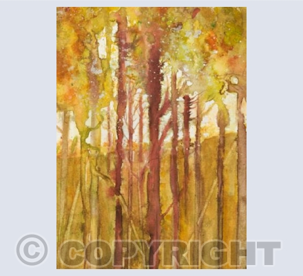 Fall