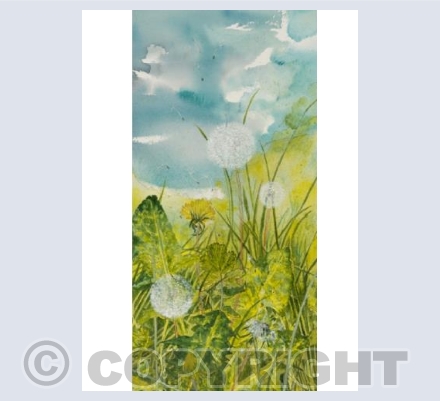 Summer dandelions 