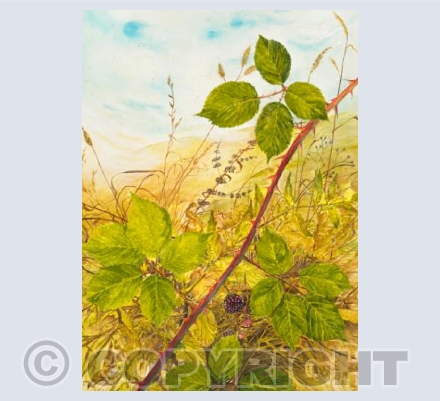 Brambles in red
