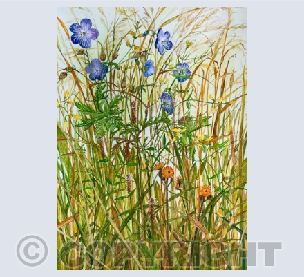 The height of August