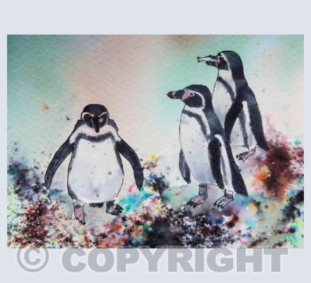 Bournemouth Humboldts