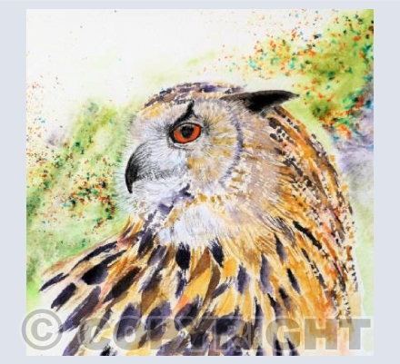 Eagle Owl