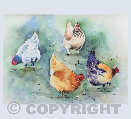 Chickens