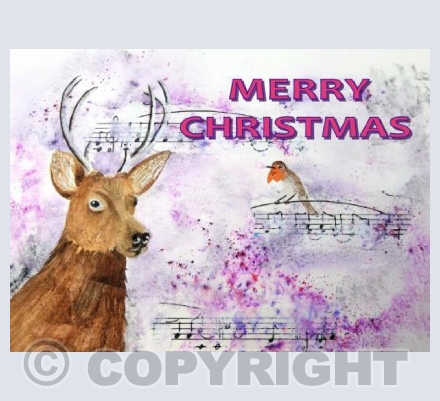 Roe Deer in the Pink