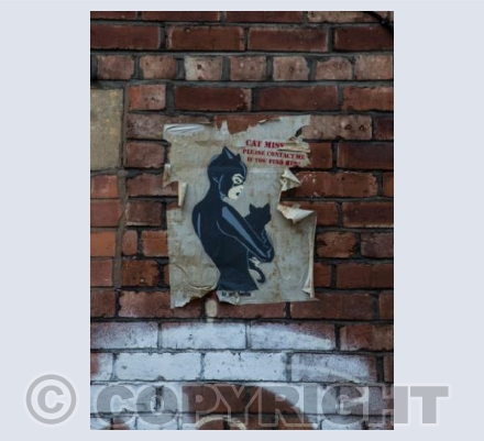 Ripped Cat Woman