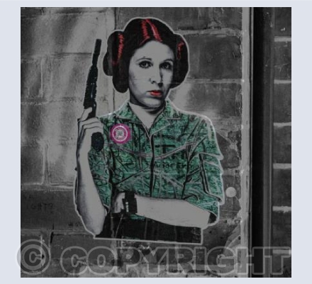Leia contrasts