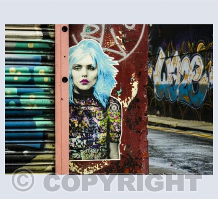 Blue Blondie landscape