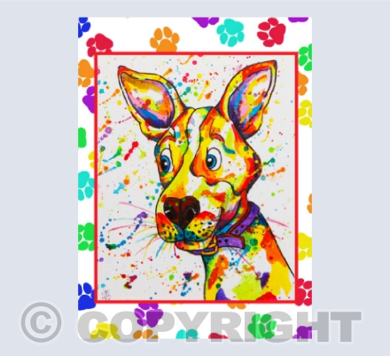 Appledown Colourful Jack