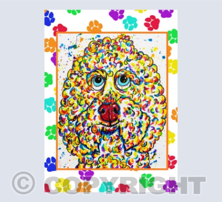 Appledown Cockerpoodle-Doodle