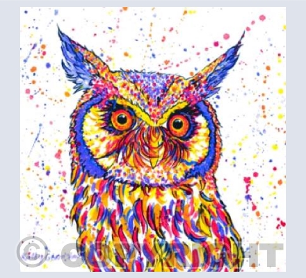Wise Owl