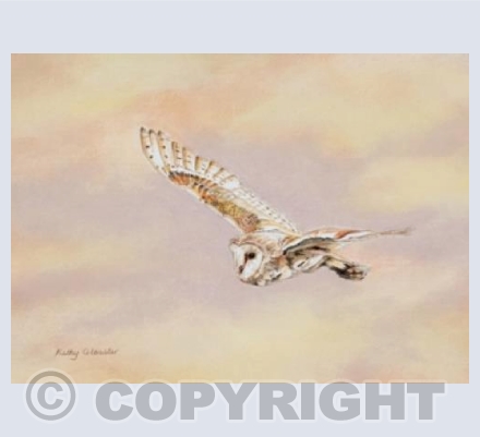 On The Wing