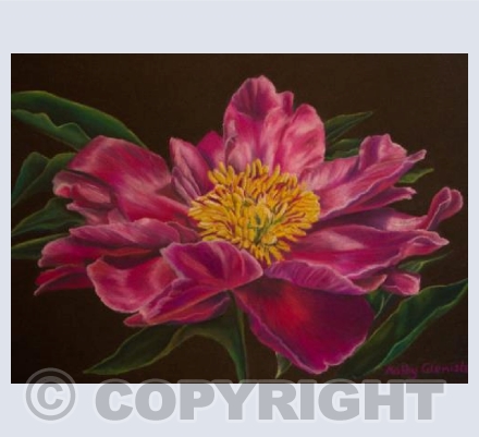 Peony