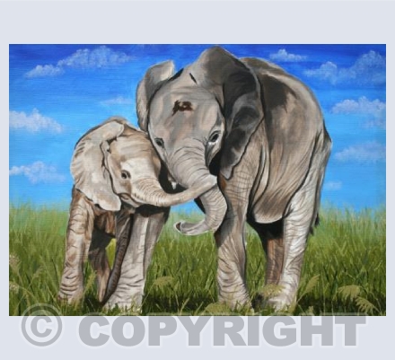 Young Elephants