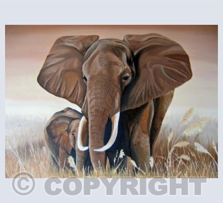 Elephant & Calf