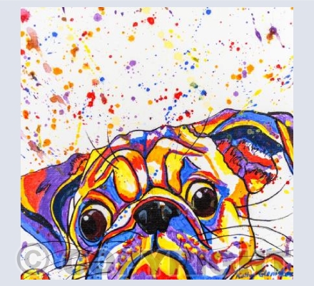 Doug The Pug