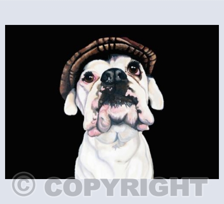 Boxer In a Hat