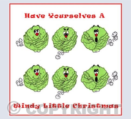 Windy Little Christmas