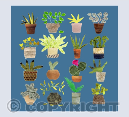potty plants on blue