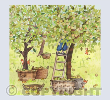 Apple Picking !