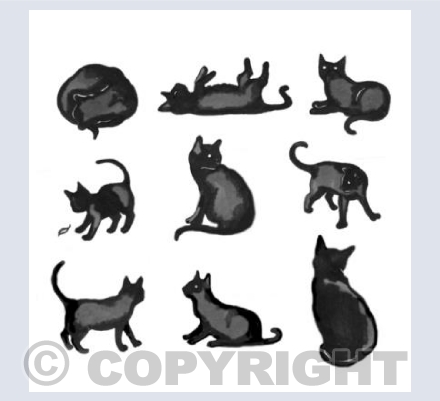 Black Cat Boogie