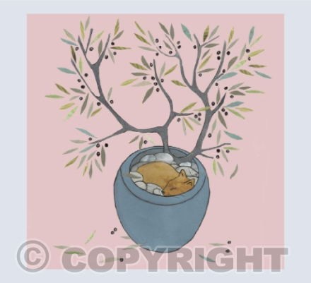 Olive Drerams
