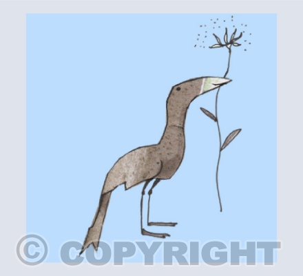Grey Bird