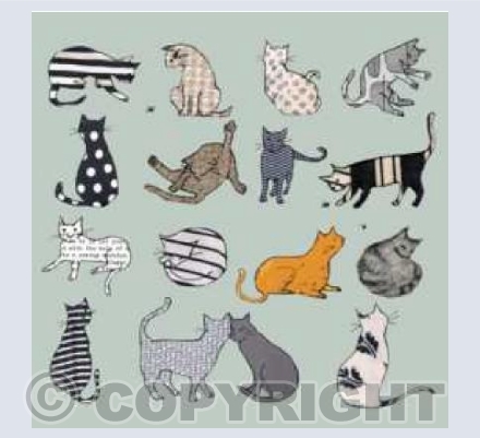 catz on grey