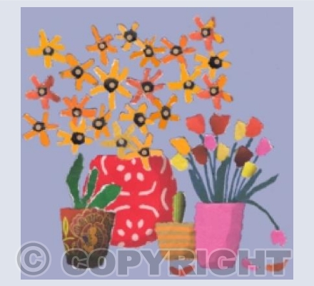 Orange daisies
