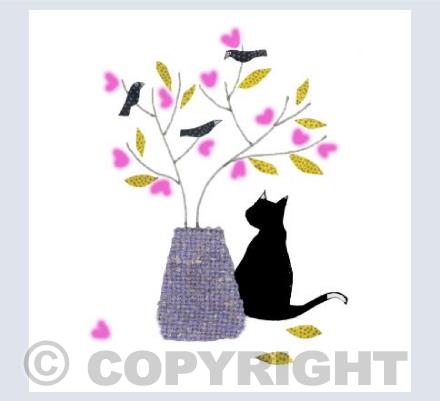 This black cat likes Pink 