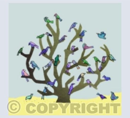 bush birds