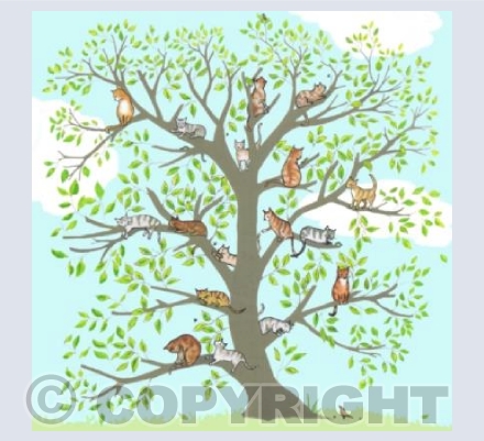 cloud tree cats
