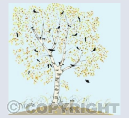 silver birches on blue 