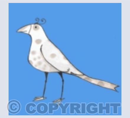 Grey spot bird