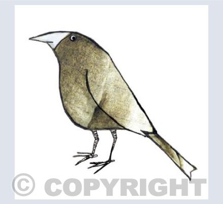 Fat Grey Boid 