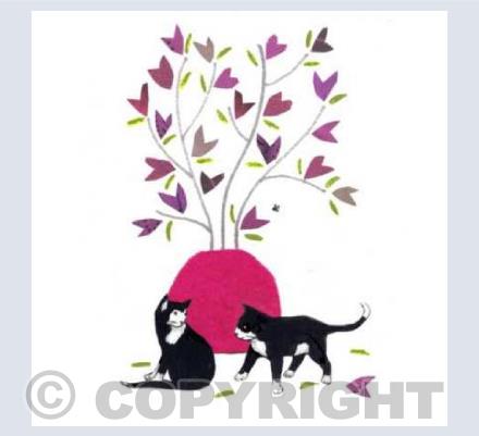 Two Black Cats 