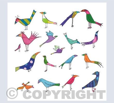 Bonkers Birds
