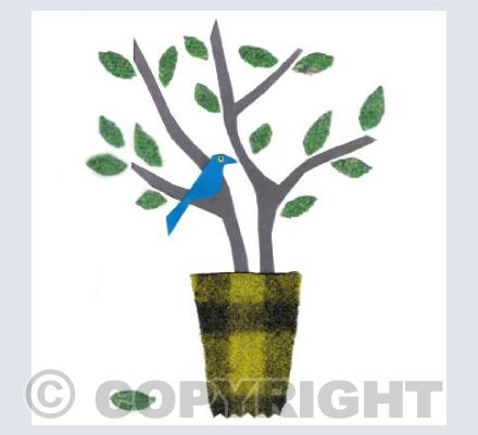 Lime pot Blue bird