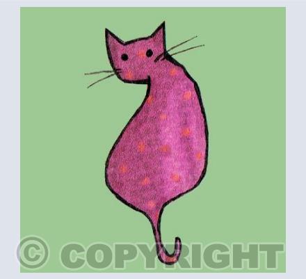 Poppy the Cat