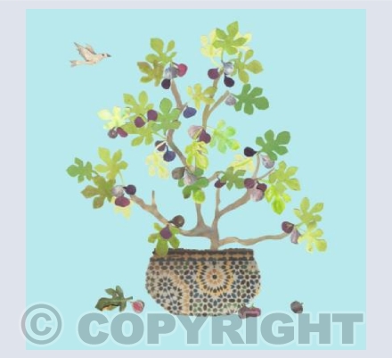 Potted fig