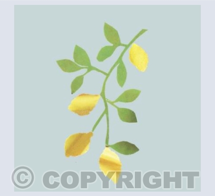 Lemon bough