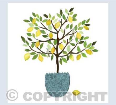 Lemon Tree
