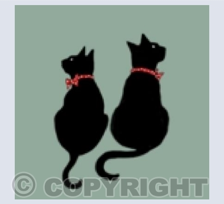 Two Black Cats
