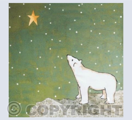 Snow Bear
