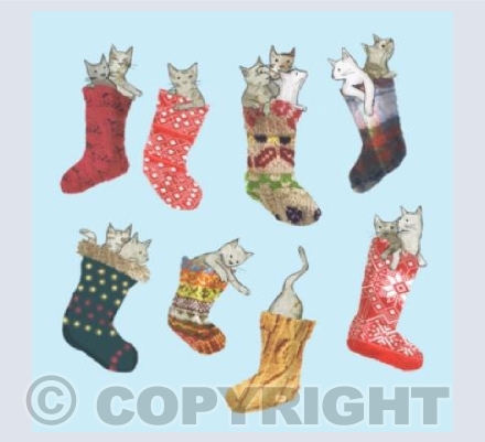 cats in stockings