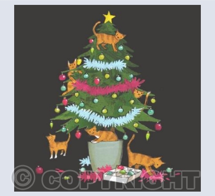 Cats love christmas