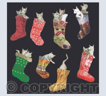 Christmas cats in stockings
