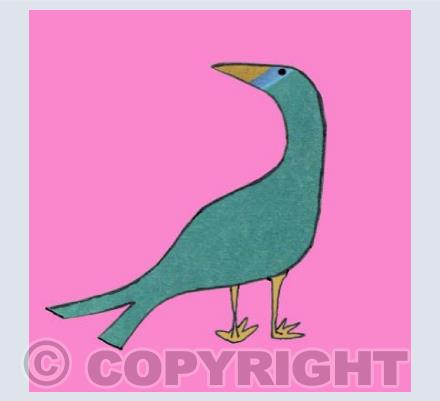 Thoughtful Blue Bird 